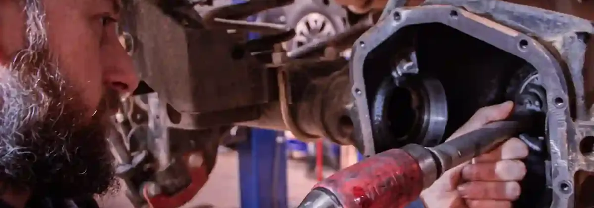 Gears & Differentials